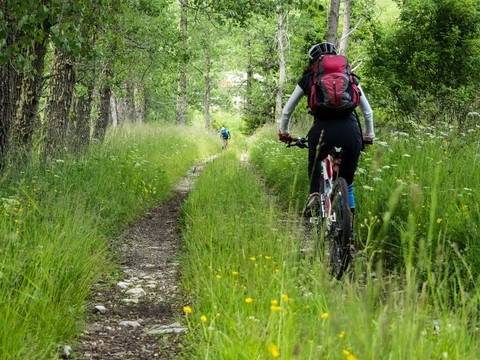 Forêts bulgares en vélo Bulgarie en VTT (Vidas)